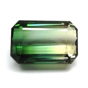 Bi Color Tourmaline 1